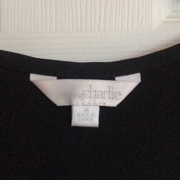 Charming Charlie’s Dress - Picture 3 of 3